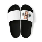 AKIRAの筋トレくまちゃん Sandals