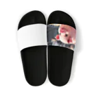 MTHの社内のたすくのすけじゅーりんぐをうみにぶた行 Sandals