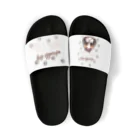 furebuhi　clubのadorable dog　SHIH TZU　（シーズー） Sandals
