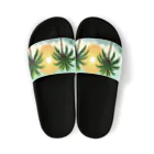 Paradise ExploreのPalmShade Oasis Sandals