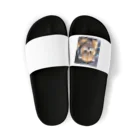 satoshi07のDJDOG Sandals