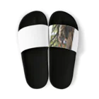 usagimajyoの木登りウサギ Sandals