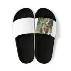 neeeeeeの草と犬 Sandals