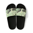 Fantastic FrogのFantastic Frog -Paper Money Version- Sandals