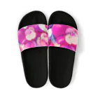 kohaku_no.5のサンセットピンク Sandals