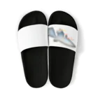 ろみの"@"長いヒレの長い生活(メダカ) Sandals