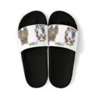 きっきゃわーのMowbear Sandals