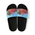 たむっち!の紅葉 Sandals