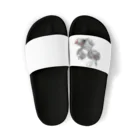 symの健康食品 Sandals