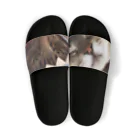 shop/jinショップジンのおでぶ猫こころくん Sandals