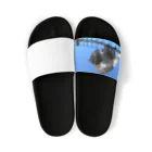 ながしっぽ from.さくらねこの家のながしっぽ　type.C Sandals