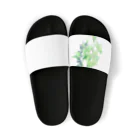 すねこすりの観葉植物🌱ブルー Sandals