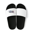 flatcoatedretrieverのbeetle Sandals