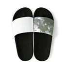 korineversの自然 Sandals