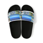 FCS Entertainmentのフリーダムカウンセリングスクール Sandals