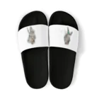 エビチリのナイナイコンビ Sandals
