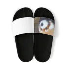 甘味処　甘甘のレッサーパンダ Sandals