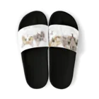 みきぞーん｜保護猫 ミッキー画伯と肉球とおともだちのgyoza&kome Sandals