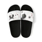 みきぞーん｜保護猫 ミッキー画伯と肉球とおともだちのMei&Kanta Sandals