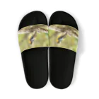 カワセミLOVEの緑の中のキビタキ Sandals