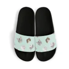 みきぞーん｜保護猫 ミッキー画伯と肉球とおともだちのden suu sho kaki Sandals