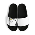 toru_utsunomiyaの猫のテン Sandals