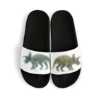 segasworksのTriceratops prorsus(トリケラトプス ・プロルスス)着彩画 Sandals