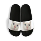 猫の隠れ家の驚きを隠せない。 Sandals