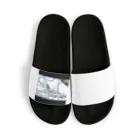 Zeceの冬の鳥 Sandals