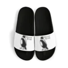 Round-BirdsのRound-Birds logo.ver Sandals