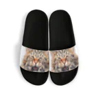 日向ぼっこのずぶ濡れ猫 Sandals