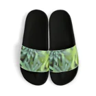 ANTARESの緑 Sandals