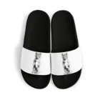 jun factoryの墨絵ねこ（その2） Sandals