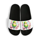 ぷっくりショップのオカメインコのひととき Sandals