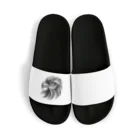 yielanggo007の白黒の鷹 Sandals
