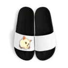 PAW WOW MEOWのパンクキャット Sandals