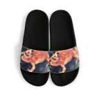 Fantastic FrogのFantastic Frog -Tropical Version- Sandals