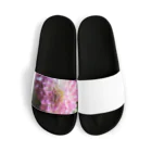 seide.blume～Ｄ＊Ｒ～のダリア Sandals