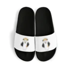 mofusandのドラキュラにゃん Sandals