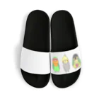 PYPショップの名前なしカラー版　よもぽぽぴぃ Sandals