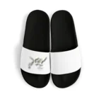 【 ALBINO. 】　Online Store！！のalbino. White Line. Sandals