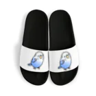 Cody the LovebirdのChubby Bird セキセイインコ Sandals