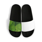 Junsuke Yanagisawaのleaf Sandals