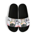 SANKAKU DESIGN STOREの仲良し！ぺちゃかわ猫ちゃんたちのバカンス。 Sandals