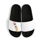 ブルースカイの猫パンチ Sandals