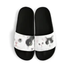 みきぞーん｜保護猫 ミッキー画伯と肉球とおともだちのMei&Kanta Sandals