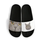 みきぞーん｜保護猫 ミッキー画伯と肉球とおともだちのhideyoshi Sandals