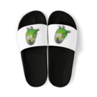 Cody the LovebirdのChubby Bird イワウロコインコ Sandals