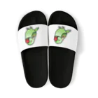 Cody the LovebirdのChubby Bird オオホンセイインコ Sandals