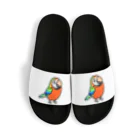 Cody the LovebirdのChubby Bird ハルクインコンゴウインコ Sandals